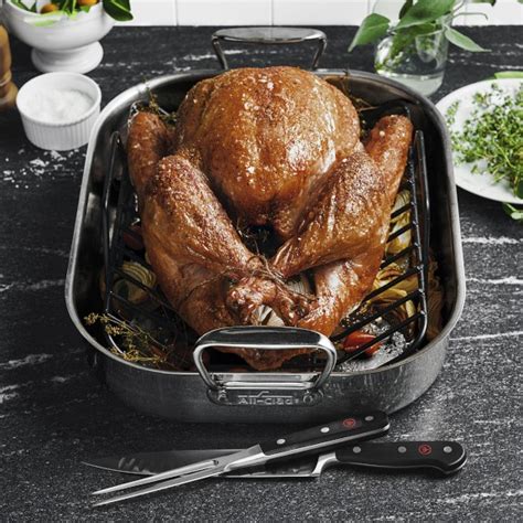 All-Clad Stainless-Steel Roasting Pan with Rack | Williams Sonoma