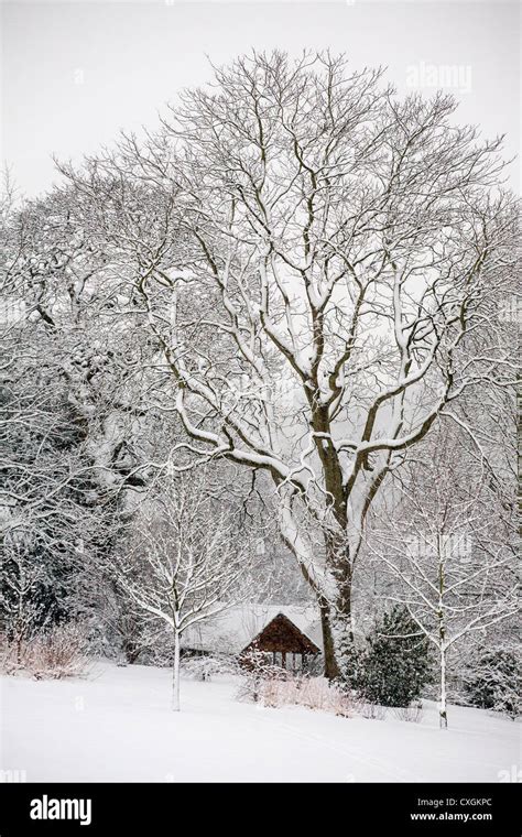 Birmingham Botanical Gardens and Glasshouses Edgbaston Birmingham England in the snow Stock ...