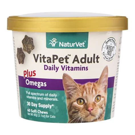 Does Your Cat Need a Multivitamin? | BeChewy