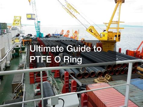 Ultimate Guide to PTFE O Ring - Shine Articles