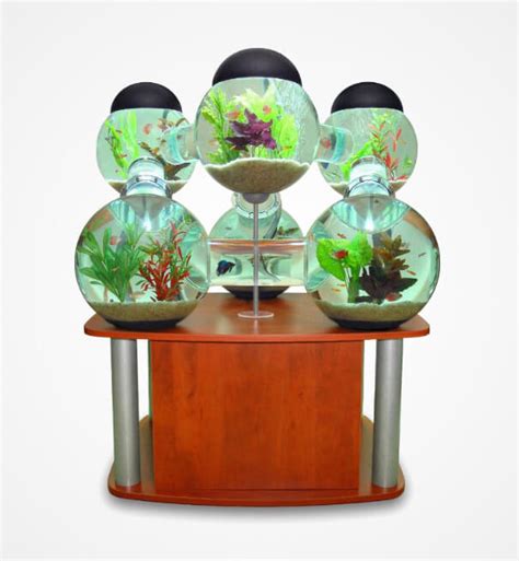 22 Unique Aquariums Every Fish Lover will Love