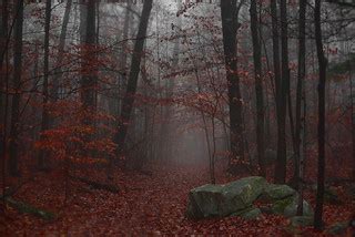 Deep Red | A very moody deep red:-) | Kasia | Flickr