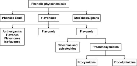 Anthocyanin Pigments: Importance, Sample Preparation and Extraction | IntechOpen