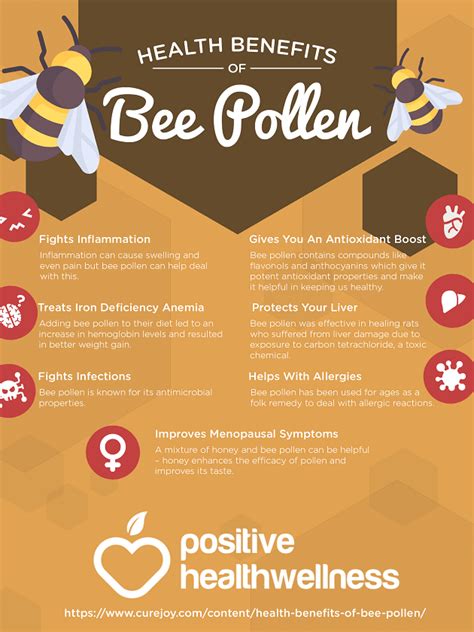 7 Amazing Health Benefits Of Bee Pollen – Infographic – Positive Health ...