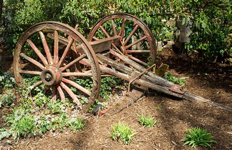 Old Wagon Tongue Photograph by Douglas Barnett - Fine Art America