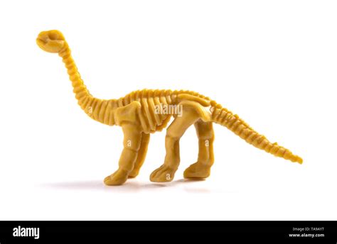 Diplodocus skeleton Cut Out Stock Images & Pictures - Alamy