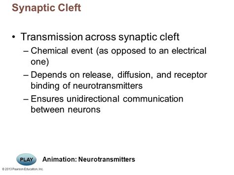 Synaptic Cleft Animation