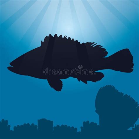 Grouper Fish Silhouette. Vector Illustration Decorative Design Stock ...