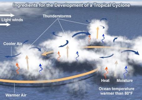 Tropical Cyclones: Favorable Conditions for Formation, Stages of Formation & Structure - PMF IAS