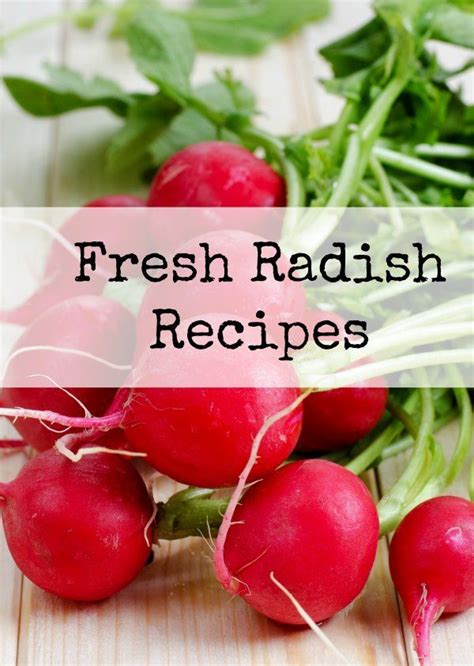 Using the Garden Veggies | Fresh Radish Recipes - BargainBriana