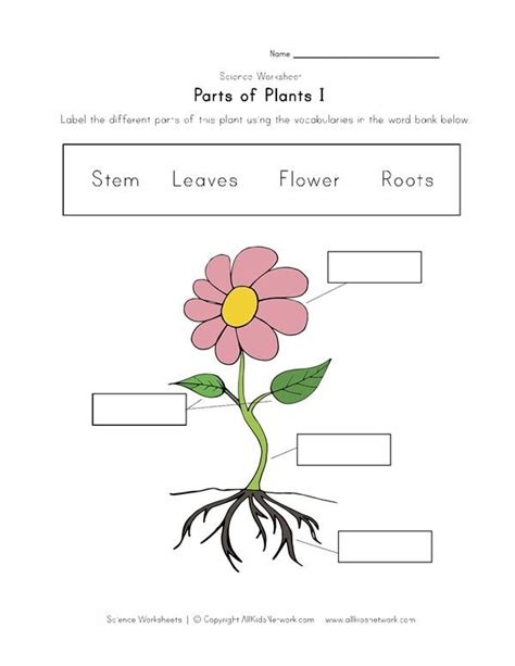 Pin on Free Worksheets