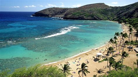 Oahu - Hanauma Bay Snorkeling Adventure Half-Day Tour - YouTube