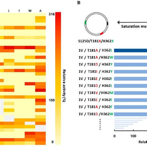 Site-directed mutagenesis and saturation mutagenesis of the active-site... | Download Scientific ...