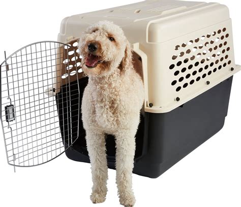 These Dog Travel Crates Are Ready to Go Wherever You Go