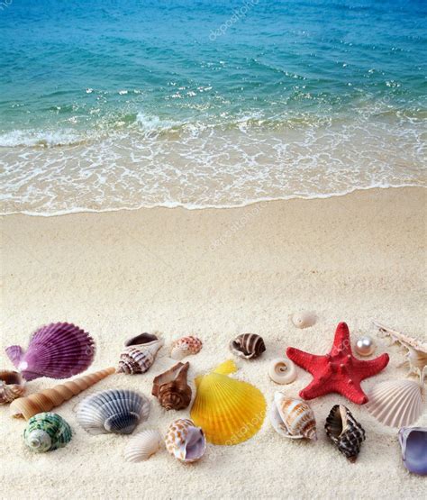 Sea shells on sand beach — Stock Photo © Tihon6 #6193146