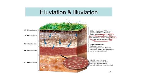 What Is The Process Of Soil Formation Known As: Unearth The Secrets