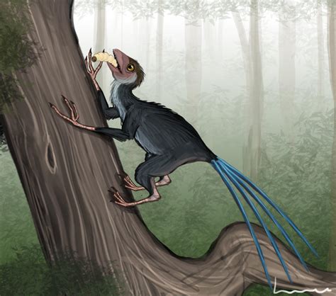 Epidexipteryx by Louisetheanimator on DeviantArt