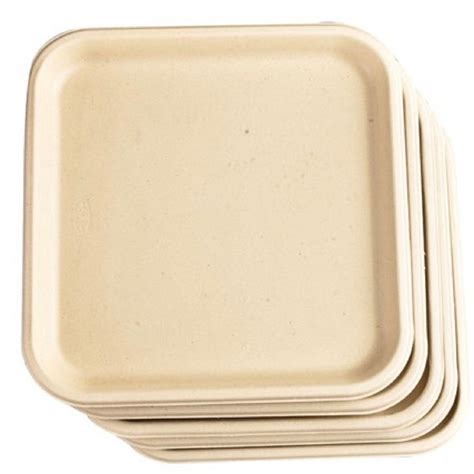 Disposal Bagasse Plates at Rs 8/piece | Bagasse Disposable Plate in New ...