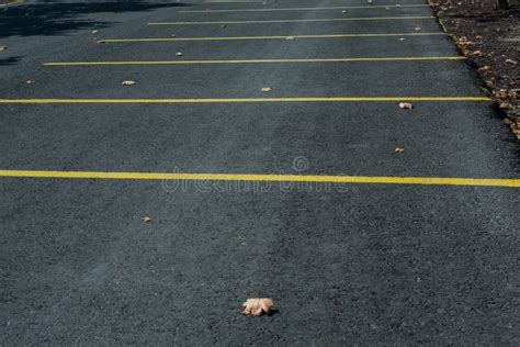 Yellow Lines on the Asphalt Separating the Parking Spots Stock Image ...