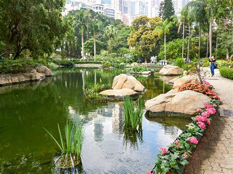 Nature in the City: Explore Hong Kong Park | Hong Kong Tourism Board