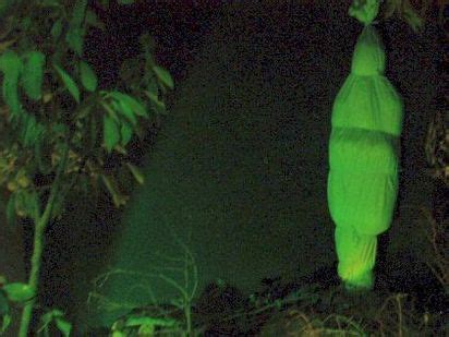 Gambar Pocong - Gambar Penampakan Hantu