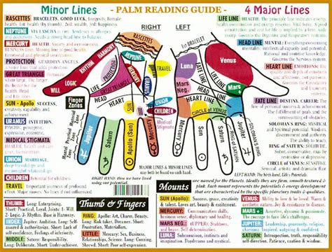 PALM READING GUIDE - Scientific Guide to Palm Reading & Palmistry!