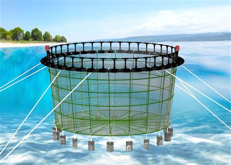 PE Fishing Cage/ Floating Fish Cage in Deepsea for Sea Aquaculature - China Cage and Fishing Cage