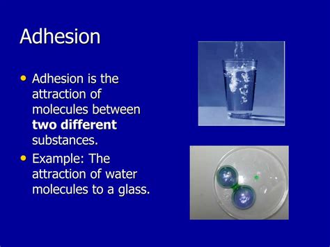 PPT - Solution Chemistry & Properties of Water PowerPoint Presentation - ID:6998566