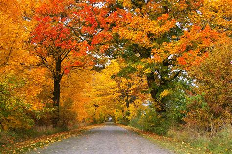 Best hikes and scenic drives for Fall Color and Fall Leaves in Ohio