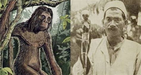 Orang Pendek, The Elusive ‘Bigfoot’ Of Sumatra’s Mountain Forests