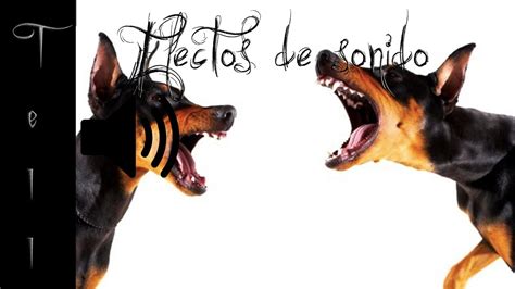 perros ladrando | Efecto de sonido - YouTube