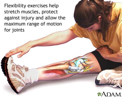 Flexibility exercise: MedlinePlus Medical Encyclopedia Image