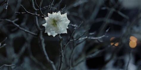 LOTR: There Is A Secret About The White Tree Of Gondor That Is Kept Out Of The Movies