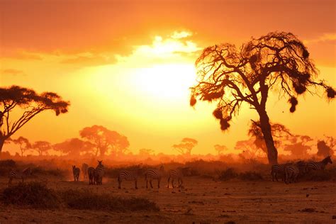 Masai Mara Fly In Safari | Trailfinders