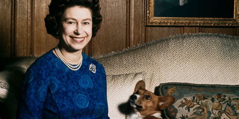 Queen Elizabeth II Considering Adopting Late Gamekeeper's Dogs