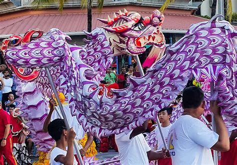 CHINESE SPRING FESTIVAL - January 29, 2025 - National Today