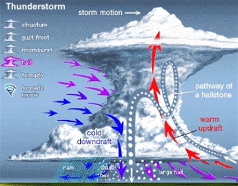 Nature Blog: What is snow?