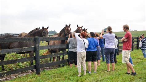 Visit Horse Country: The Unparalleled Legacy of Claiborne Farm ...