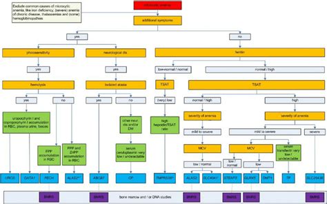 Anemia Flowchart