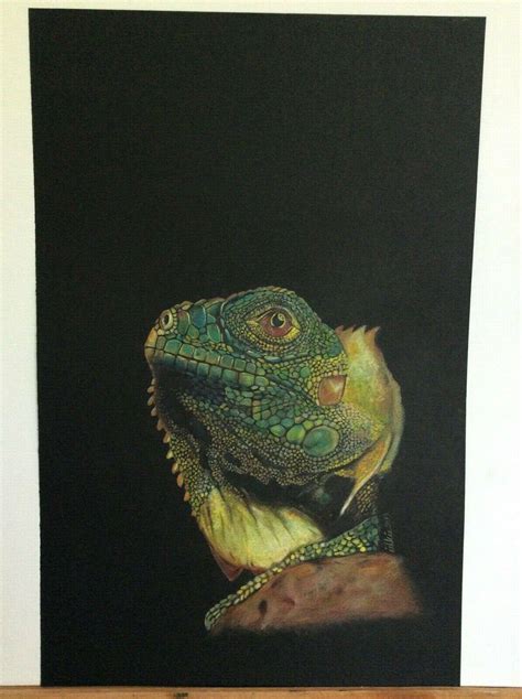 Original Realistic Chameleon Drawing - (with derwent colored pencil ...