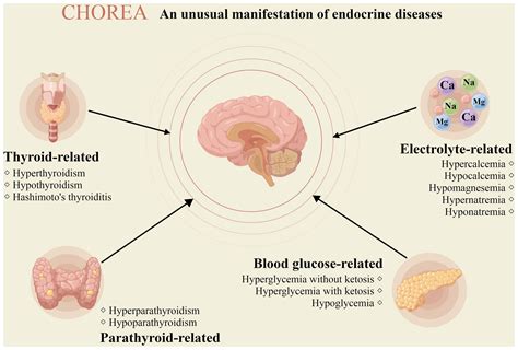 Frontiers | Chorea: An unusual manifestation of endocrine diseases