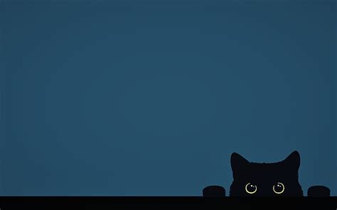 Cat Desktop Wallpaper Hd