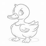 Pato Desenho Para Colorir sketch template