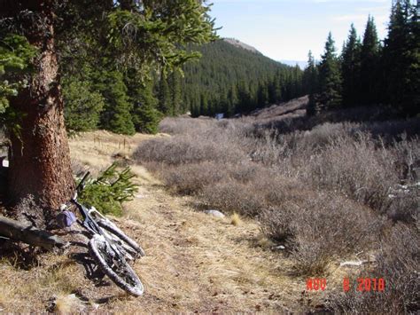 Crooked Creek Mountain Bike Trail in Fairplay, Colorado || SINGLETRACKS.COM