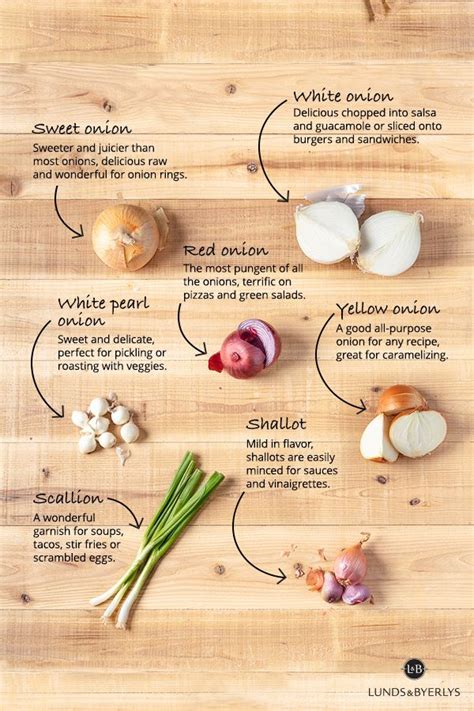 lb-onion-guide-onions-come-in-so-many-different | Food infographic ...