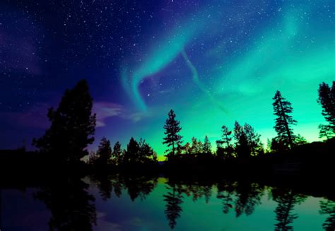 Aurora Borealis Northern Lights Over Lake And Trees Stock Photo - Download Image Now - iStock