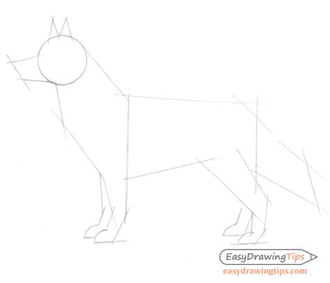 How To Draw A Dog From The Side : November 24, 2020 by antonella avogadro & filed under art blog ...