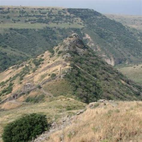 Gamla Nature Reserve - Enjoying Israel