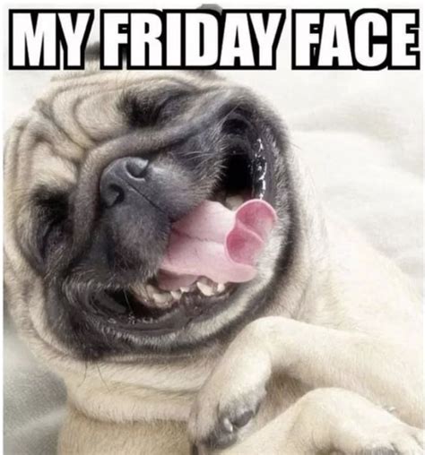 Kickstart Your Weekend With These Hilarious Friday Memes! | Funny ...