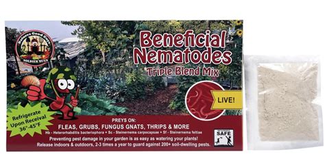 Are Beneficial Nematodes for Termites Control Effective?